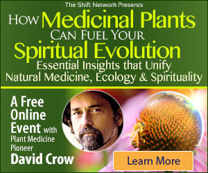 How Medicinal Plants Can Fuel Your Spiritual Evolution