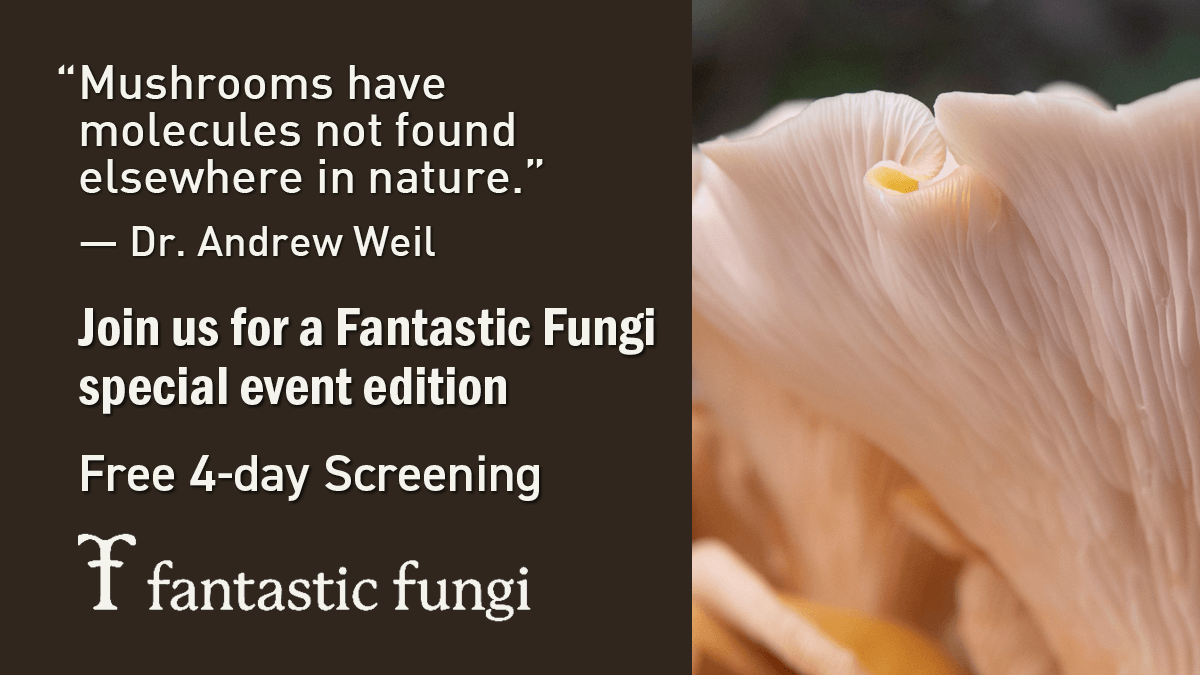 Free to Watch Fantastic Fungi Special Event Edition Being Healthier Today