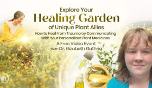 Explore Your Healing Garden of Unique Plant Allies